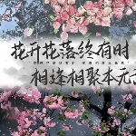 [Avatar]