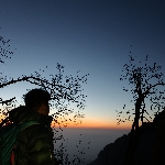 [Avatar]