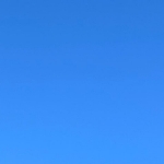 [Avatar]