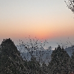 [Avatar]