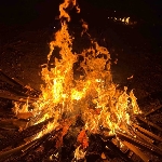 [Avatar]